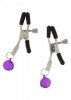 Zestaw startowy BDSM Lovetoy Starter Kit